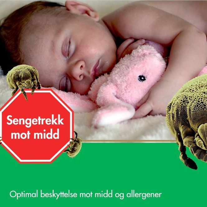 Hovedbilde Putetrekk 50x50/60/70 cm